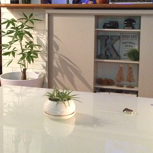 kiyomiさんの実例写真