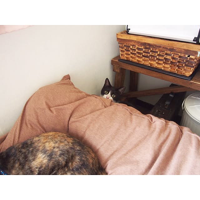 Ryoさんの実例写真