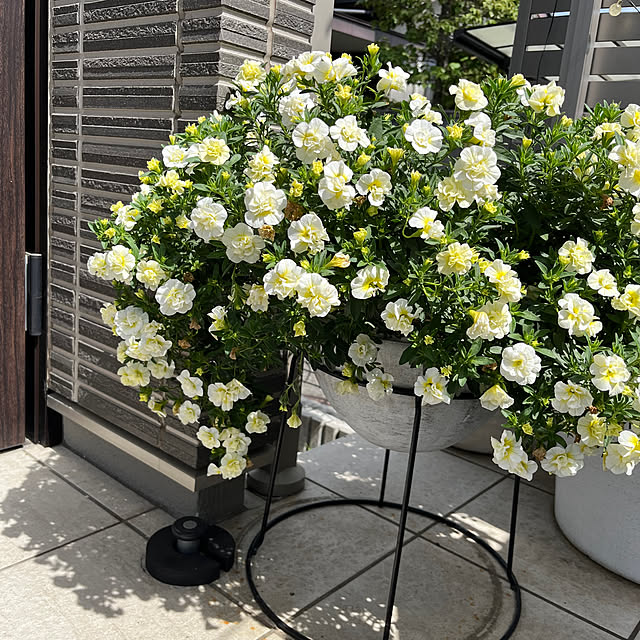 tomokokoさんの実例写真