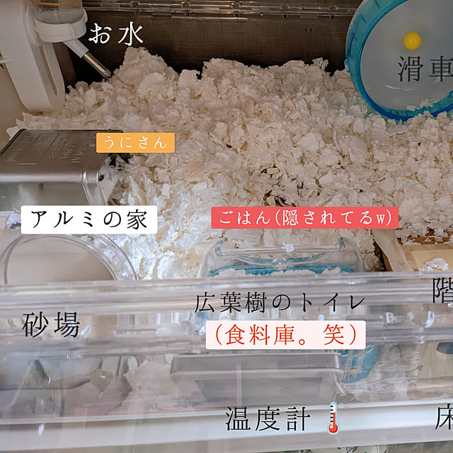 uguuuさんの実例写真