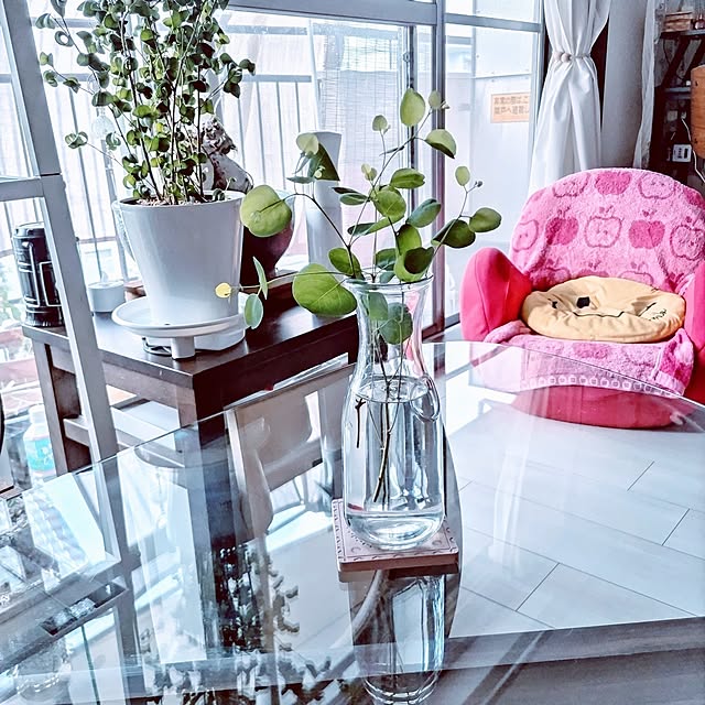 mi-saさんの部屋