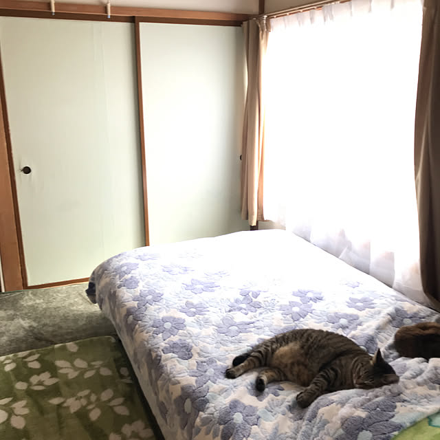 maruさんの実例写真
