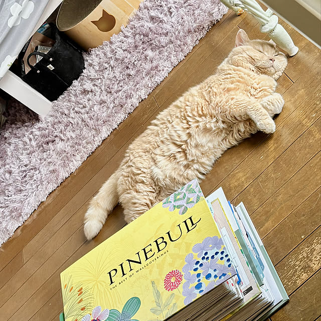 naokoさんの実例写真