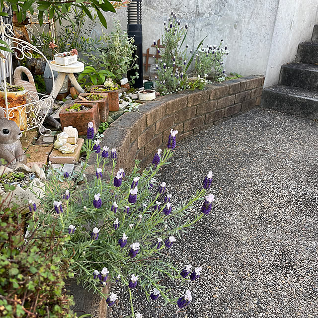 kikiさんの実例写真