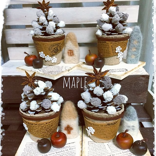 mapleさんの実例写真