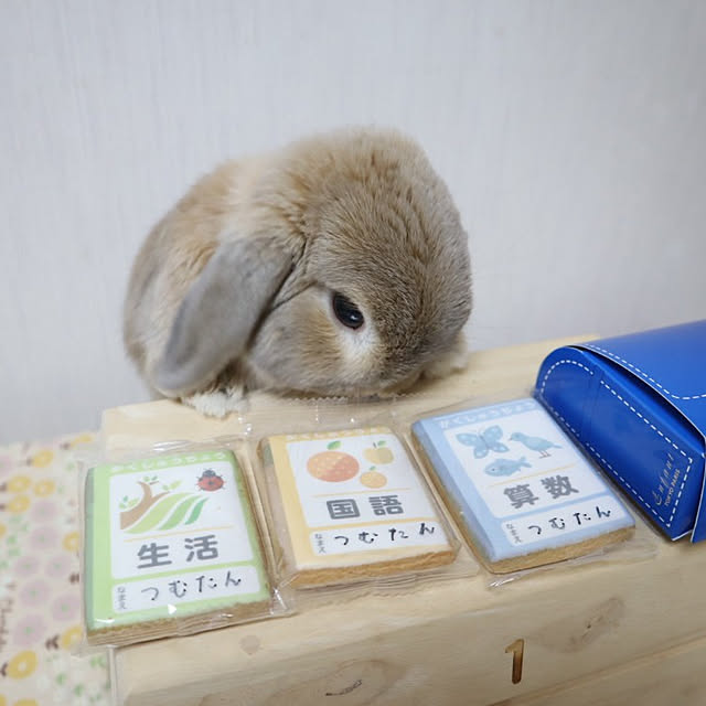 naominさんの実例写真