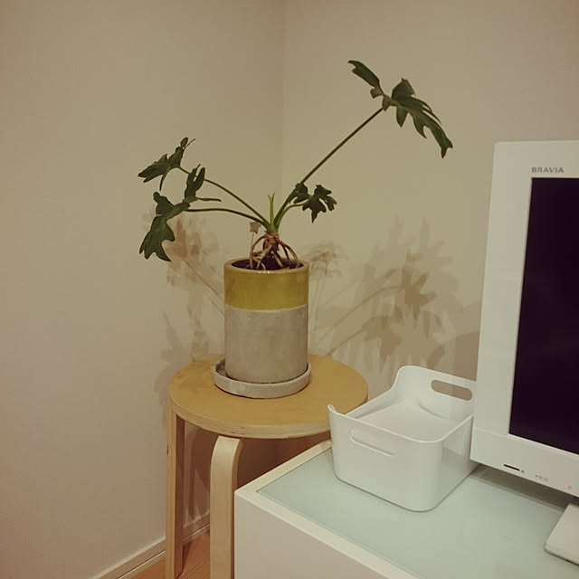 yuinacchiさんの実例写真