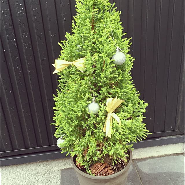 a2n2さんの実例写真