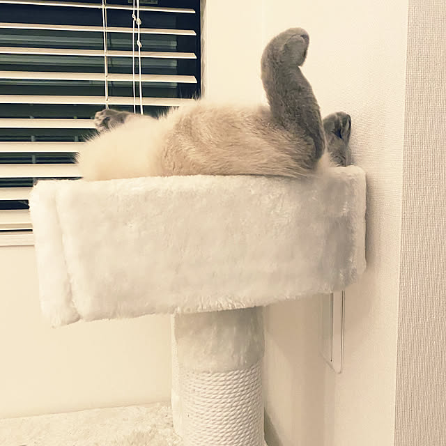 gingerwynksさんの実例写真