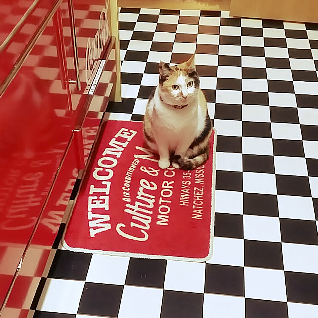 lemoned1126さんの実例写真