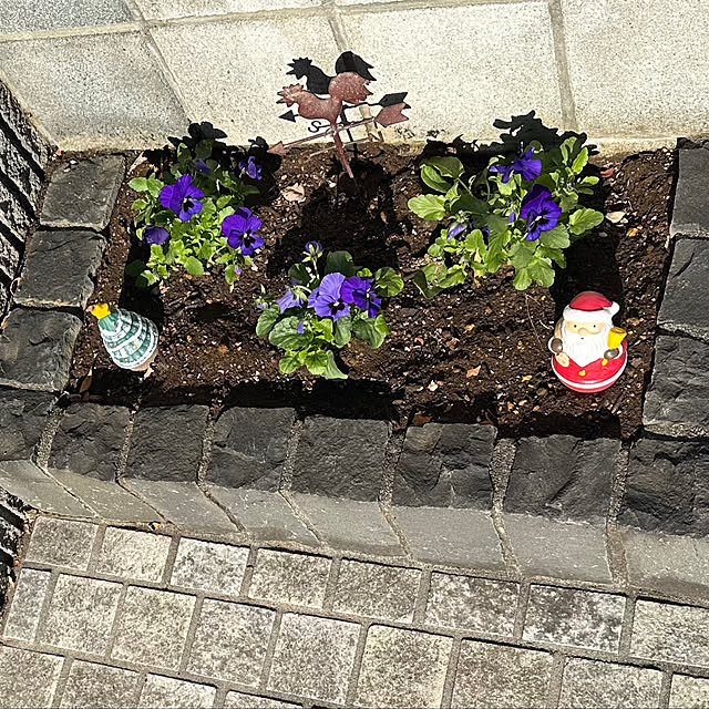 Taeさんの実例写真