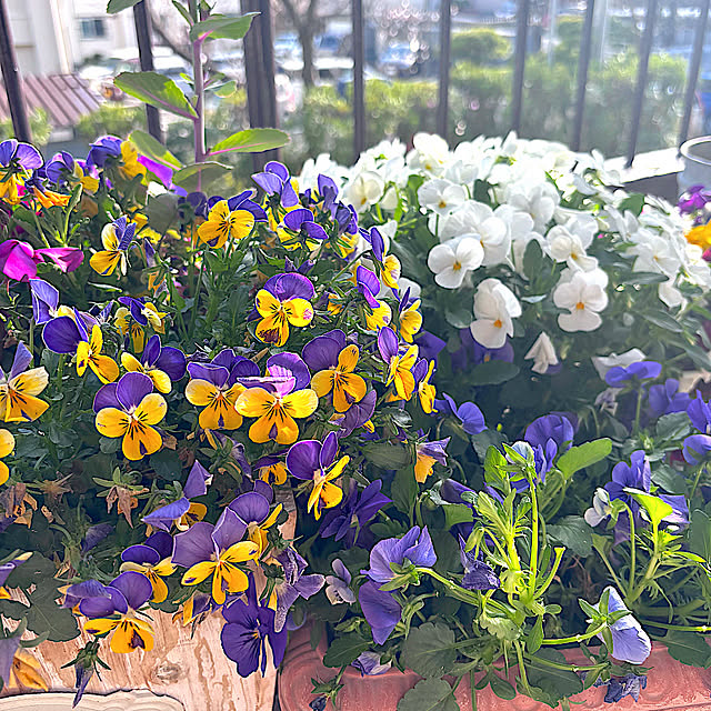 syutmmさんの部屋