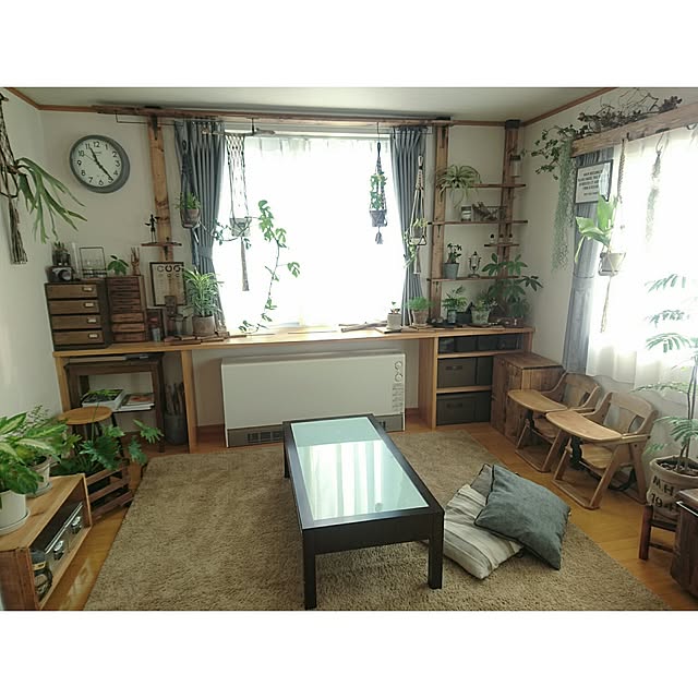 部屋全体/観葉植物/いなざうるす屋さん/100均/DIY...などのインテリア実例 - 2017-01-19 20:49:56