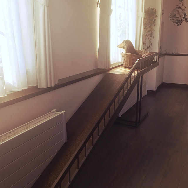 RioSayoさんの実例写真