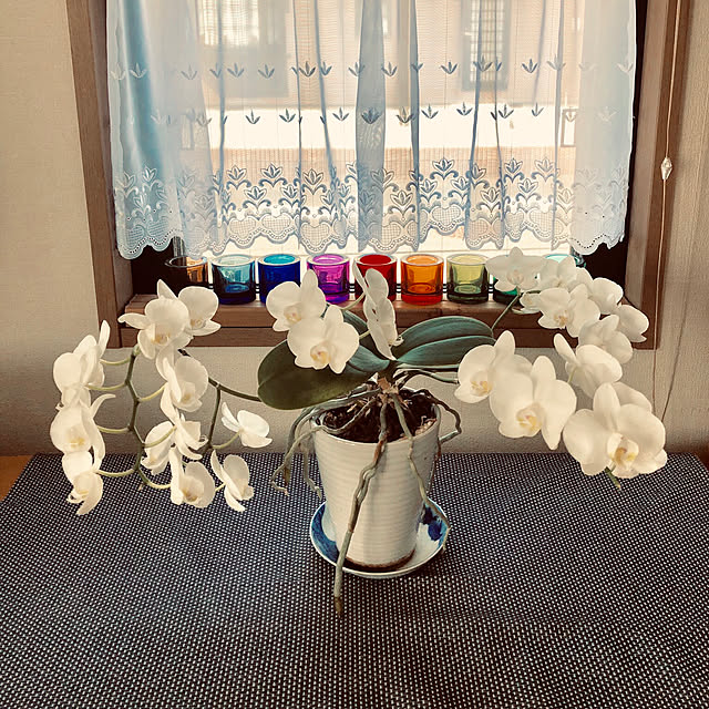 3eさんの実例写真
