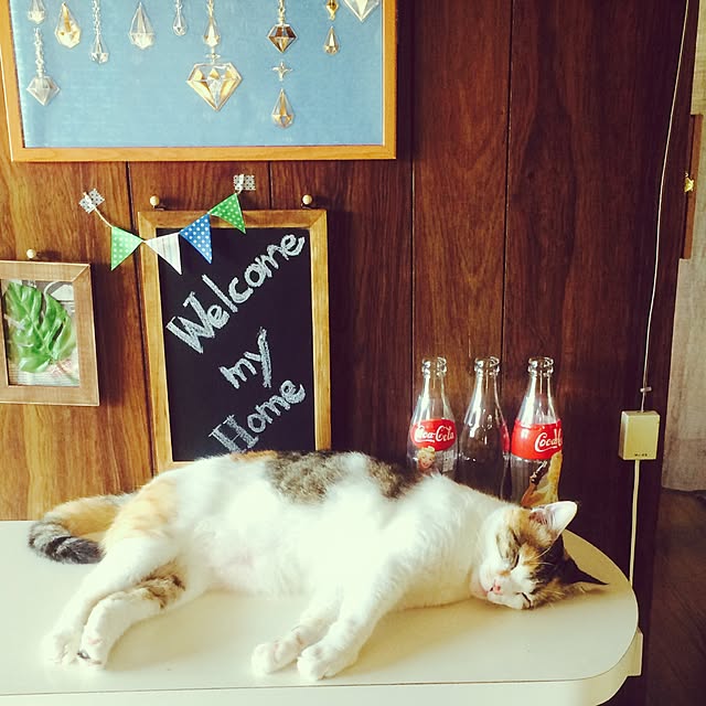 muwaさんの実例写真