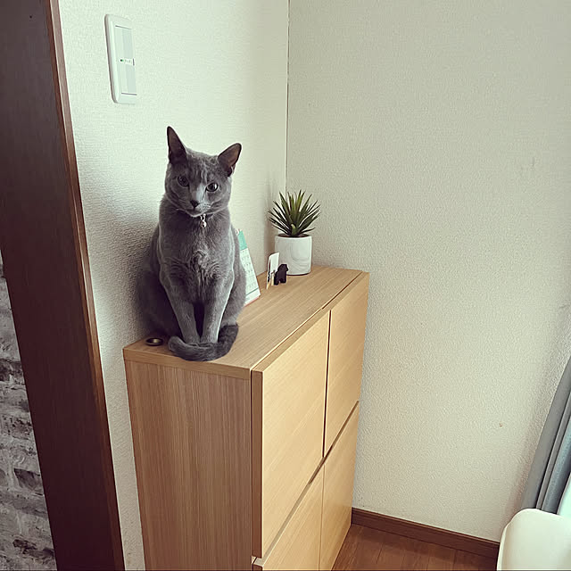 kyonさんの実例写真