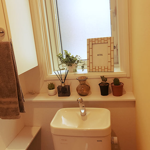 観葉植物/多肉植物/バス/トイレのインテリア実例 - 2020-03-30 16:21:47