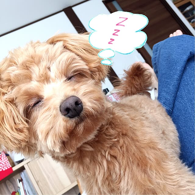 uticoさんの実例写真