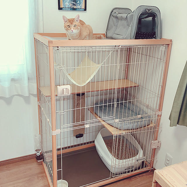 reo..m.aさんの実例写真