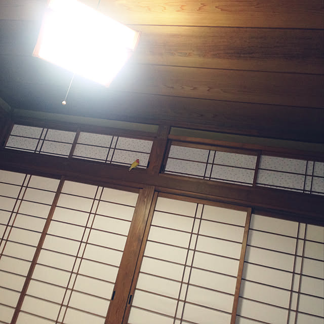 aoinokimiさんの実例写真