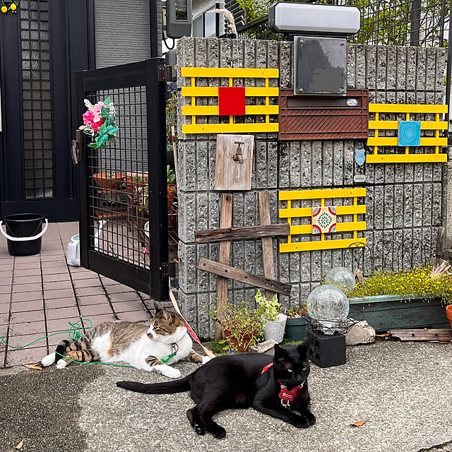 jijiさんの実例写真