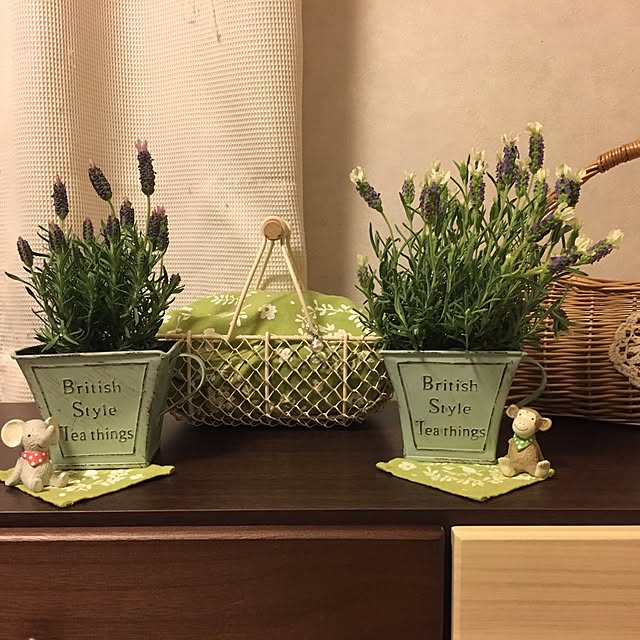yukatakoさんの実例写真