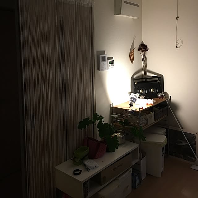 壁/天井のインテリア実例 - 2017-07-01 22:38:39