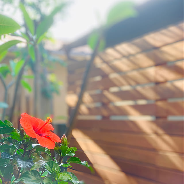 hiro1220さんの実例写真