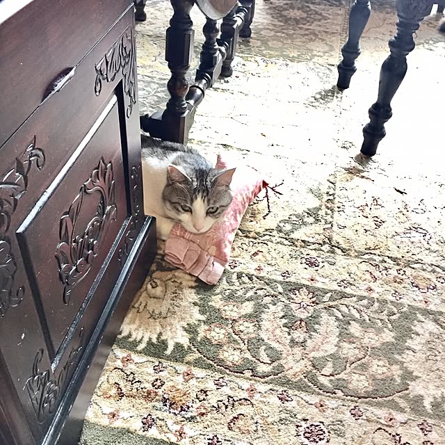 emmyyさんの実例写真