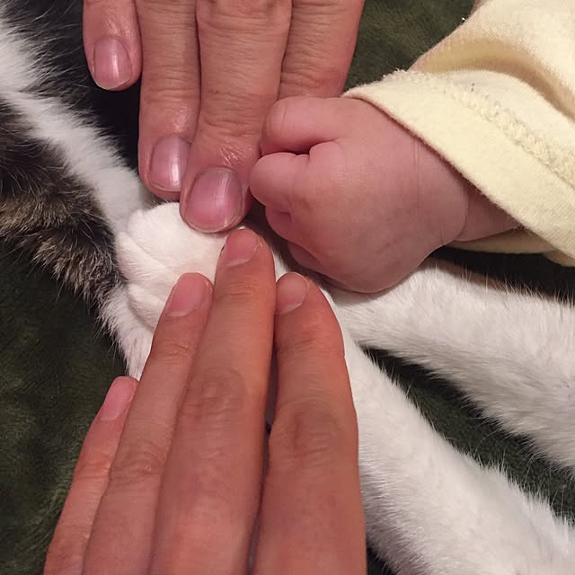 amandaさんの実例写真