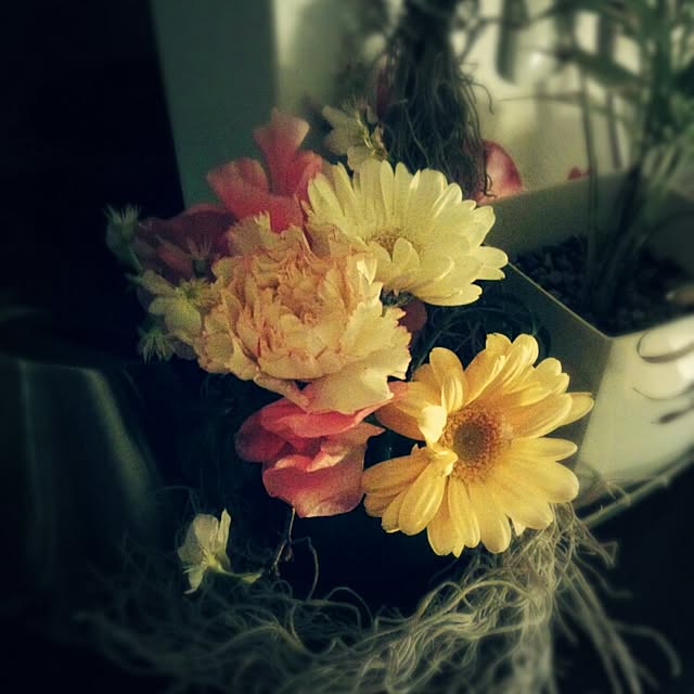 棚のインテリア実例 - 2015-02-11 19:48:38