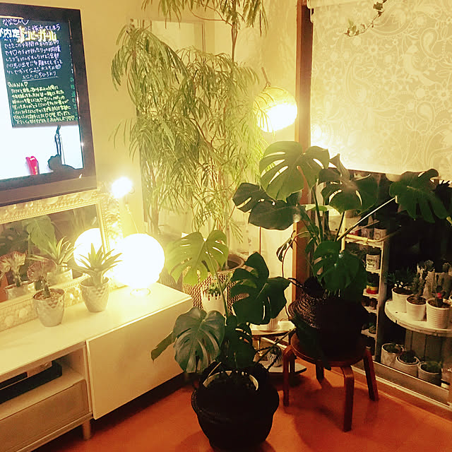 erikoさんの実例写真