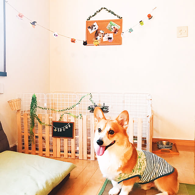 ayuさんの実例写真