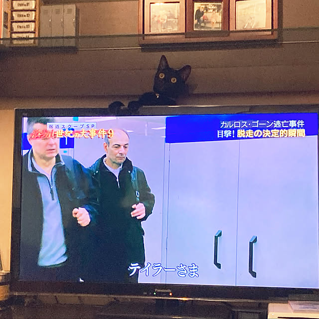 suemonta14さんの実例写真