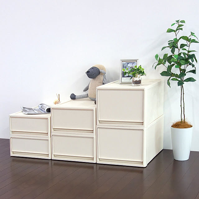 RoomClipJPのJEJアステージ-ストラ クローゼット用 M 奥行53cm 高さ22cmの家具・インテリア写真