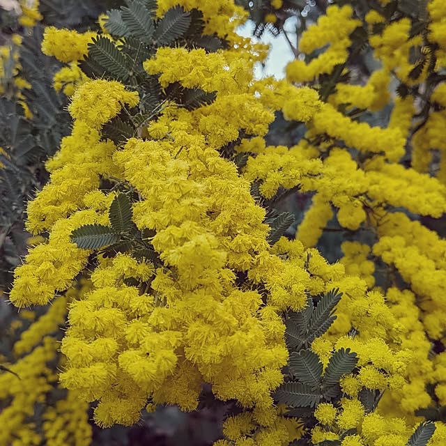 rumako32さんの部屋