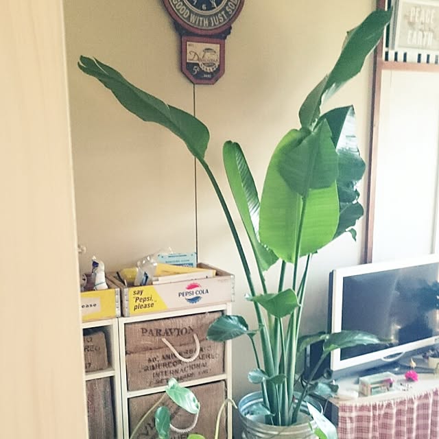 haruminさんの実例写真
