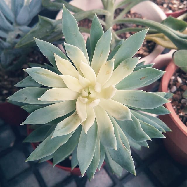 VERANDARJUNさんの実例写真