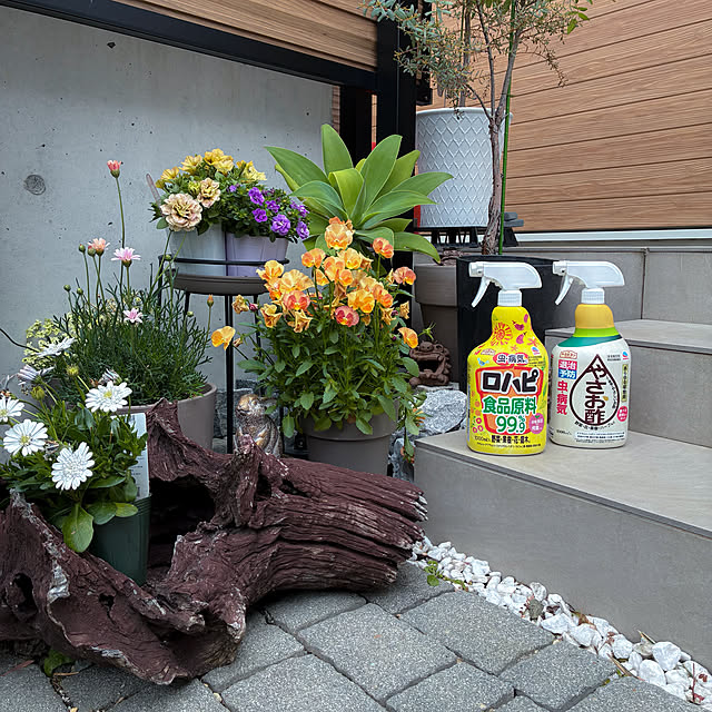 komeさんの実例写真