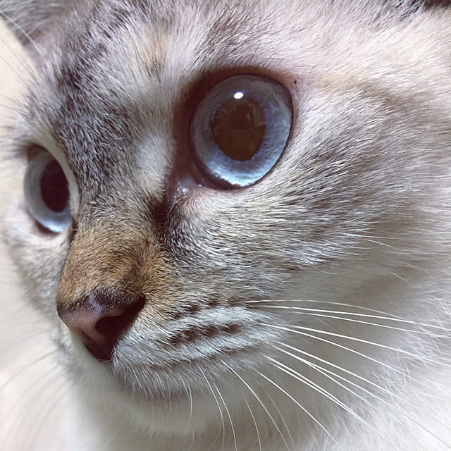 nachuさんの実例写真