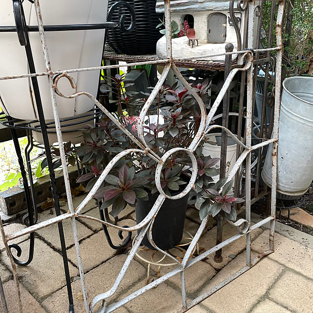 shiropenguinさんの部屋