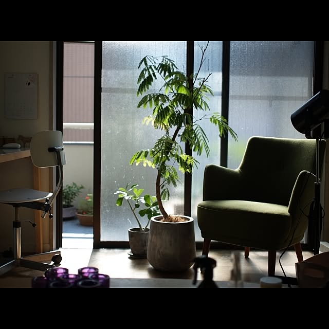 towaさんの実例写真