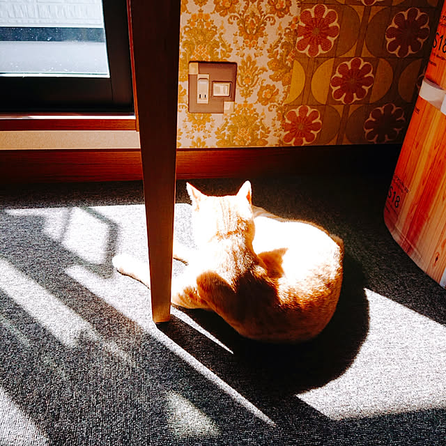 kikiさんの実例写真