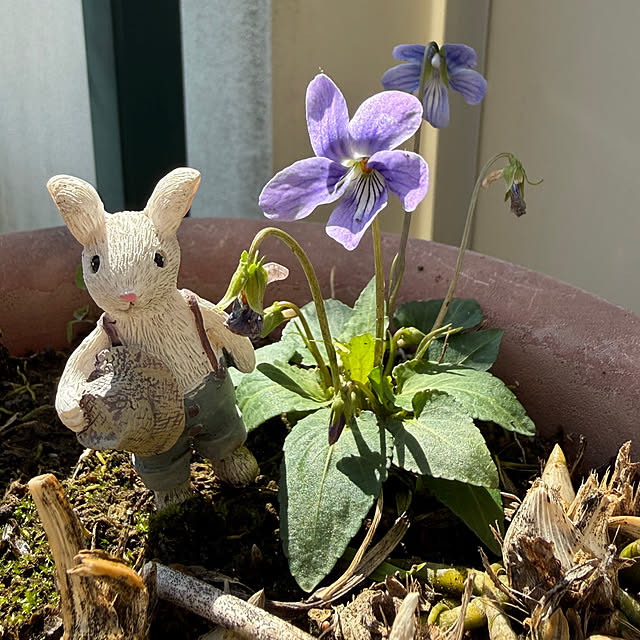 Aqettyさんの実例写真