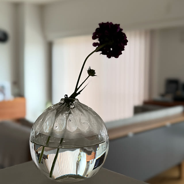 nn-homeさんの部屋