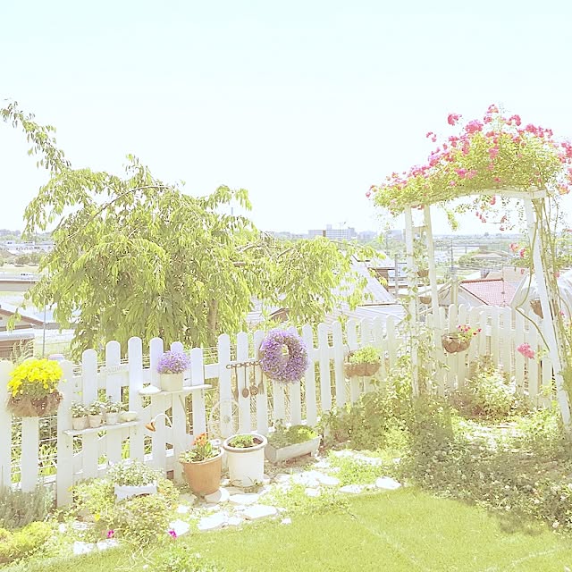 koroさんの実例写真