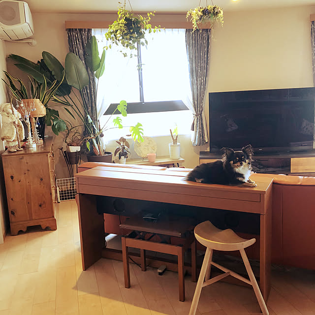 poporiさんの実例写真