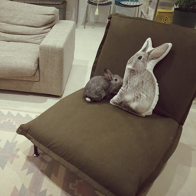 moopeeさんの実例写真