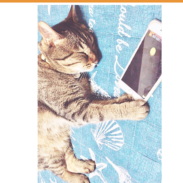jaja.mamepukuさんの実例写真